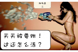 信阳信阳的要账公司在催收过程中的策略和技巧有哪些？